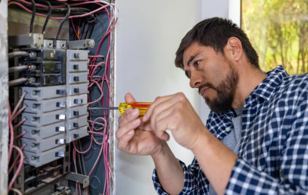 Best Electric Panel Repair  in Colmar Manor, MD